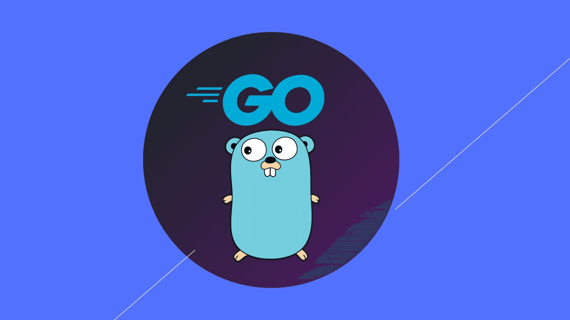 Golang (Go)
